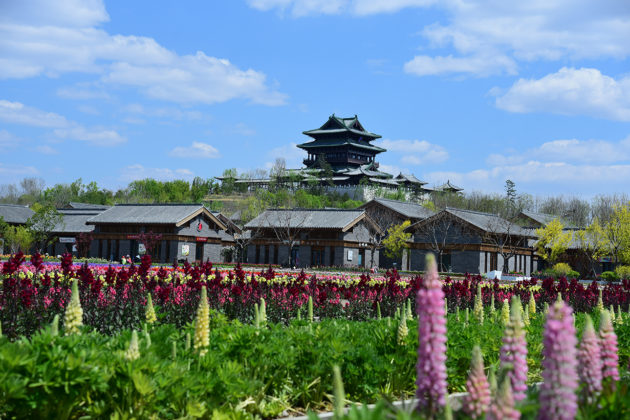 Yongnign-Tower-and-Horticulture-town-3