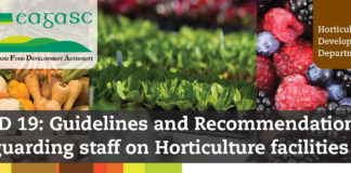 COVID 19: Guidelines and Recommendations for Safeguarding staff on Horticulture facilities