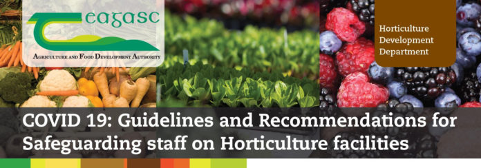 COVID 19: Guidelines and Recommendations for Safeguarding staff on Horticulture facilities