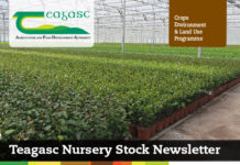 Teagasc Nursery Stock E Bulletin Number 4
