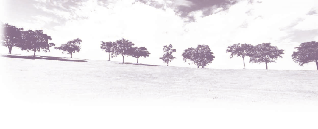 An image of trees in purple color