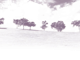 An image of trees in purple color