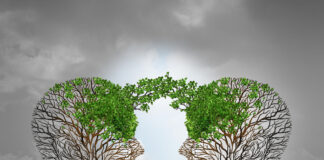 Mutual support and saving one another as a benefit to each other business concept as two sick trees with new leaves growth emerging shaped as a human head providing a revival for success.