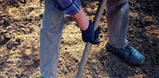 An image of a person digging the ground.