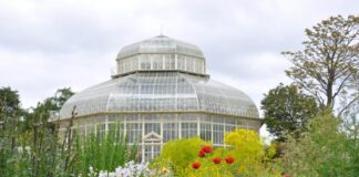 National Botanic Gardens and Ashtown