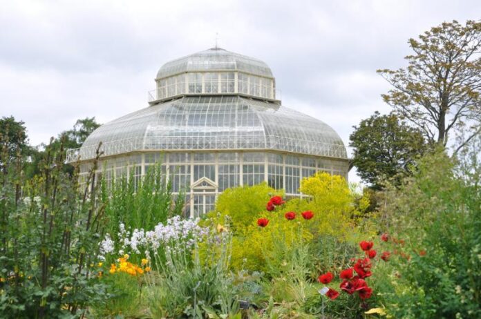 National Botanic Gardens and Ashtown