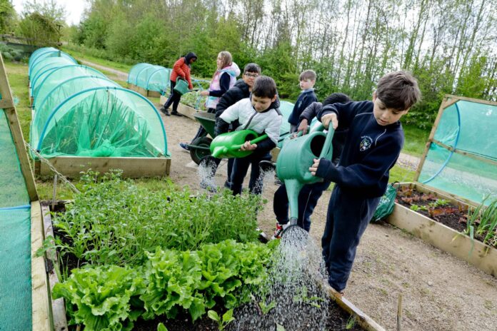 GLASTU-2024-7-scaled